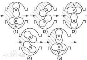 真空泵（内部转子）的工作原理图
