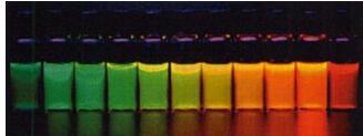 不同粒径的CdTe量子点在紫外光线下的照片