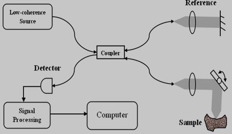 一般光纤OCT系统的原理图
