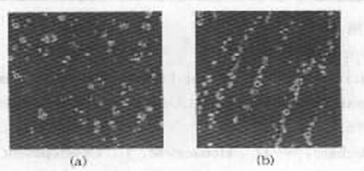 有无磁场作用下磁流变液中的微粒分布对比图