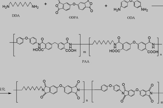 聚酰亚胺的合成反应过程
