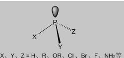 三价磷化合物的分子的立体图