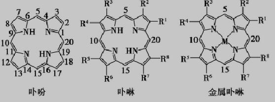 卟吩，卟啉，金属卟啉的结构图