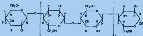纤文素的分子链结构式