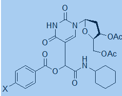嘧啶核苷-酰氧基酰胺杂化体