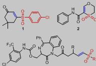 含有烯基砜的生物活性分子