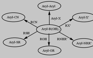 硼酸基官能团向多种官能团的转化