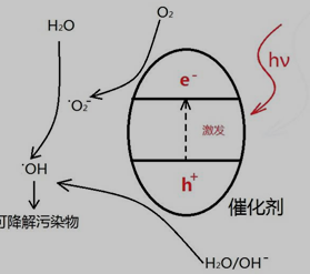 光催化剂催化降解过程的机理简图