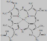 血红素的结构