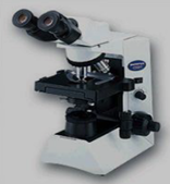 CX31显微镜