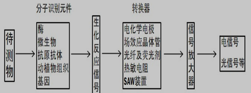 生物传感器工作原理