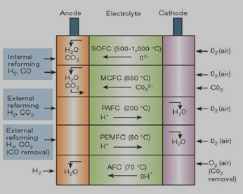 五种类型燃料电池工作原理图