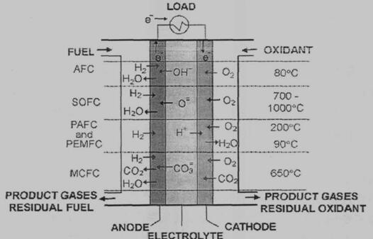 SOFC的工作原理示意图