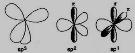 碳原子的三种杂化状态