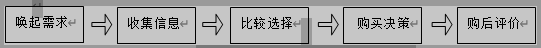 网络环境下的消费者购买过程