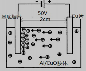 纳米Al/CuO电泳沉积的示意图