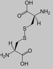 二硫键是在两个半胱氨酸之间形成的共价键