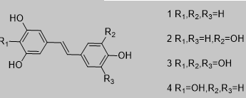 白藜芦醇的羟基衍生物