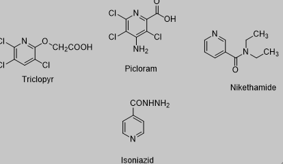 含吡啶骨架结构的化合物