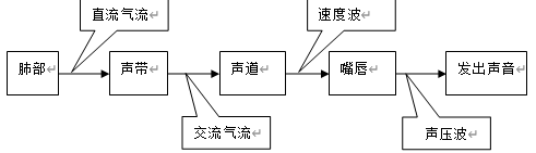 语音的形成过程