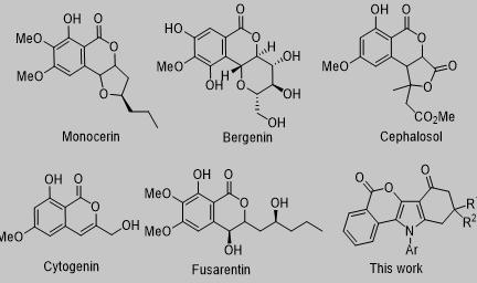 一些天然生物活性异香豆素