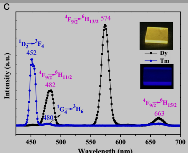 Tm3+和Dy3+单掺磷酸盐玻璃的发射光谱和实物图