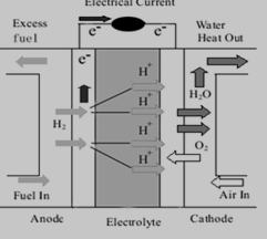 PEMFC的结构示意图